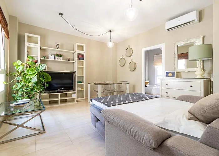 Allo Arroyo Centro 1 Habitacion アパート ヘレス